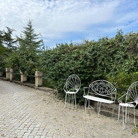 Quinta Santo Antonio Do Rio Villa Celorico Da Beira Dış mekan fotoğraf