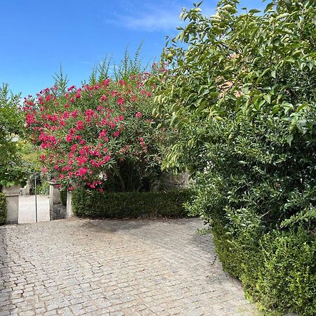 Quinta Santo Antonio Do Rio Villa Celorico Da Beira Dış mekan fotoğraf