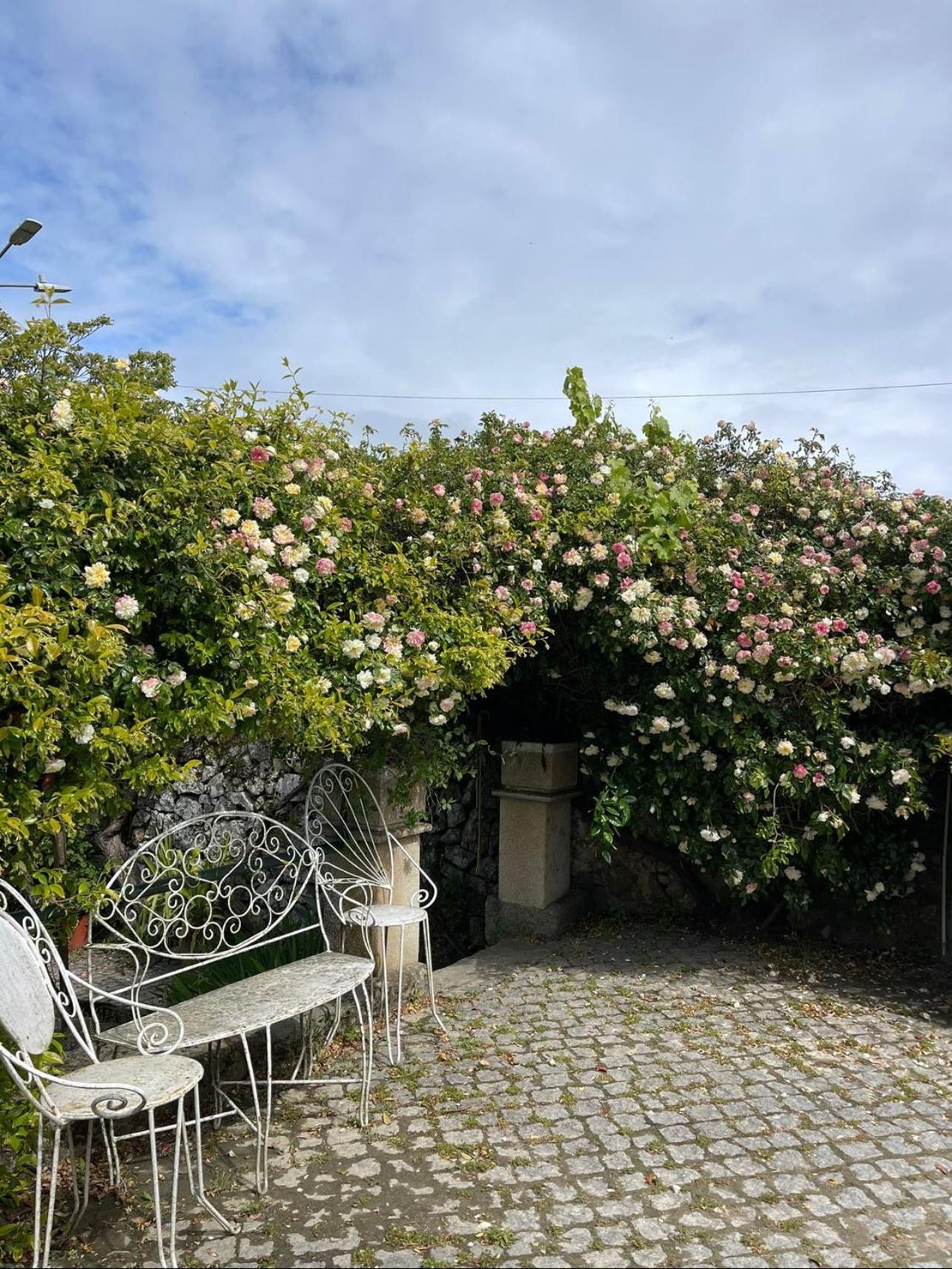 Quinta Santo Antonio Do Rio Villa Celorico Da Beira Dış mekan fotoğraf