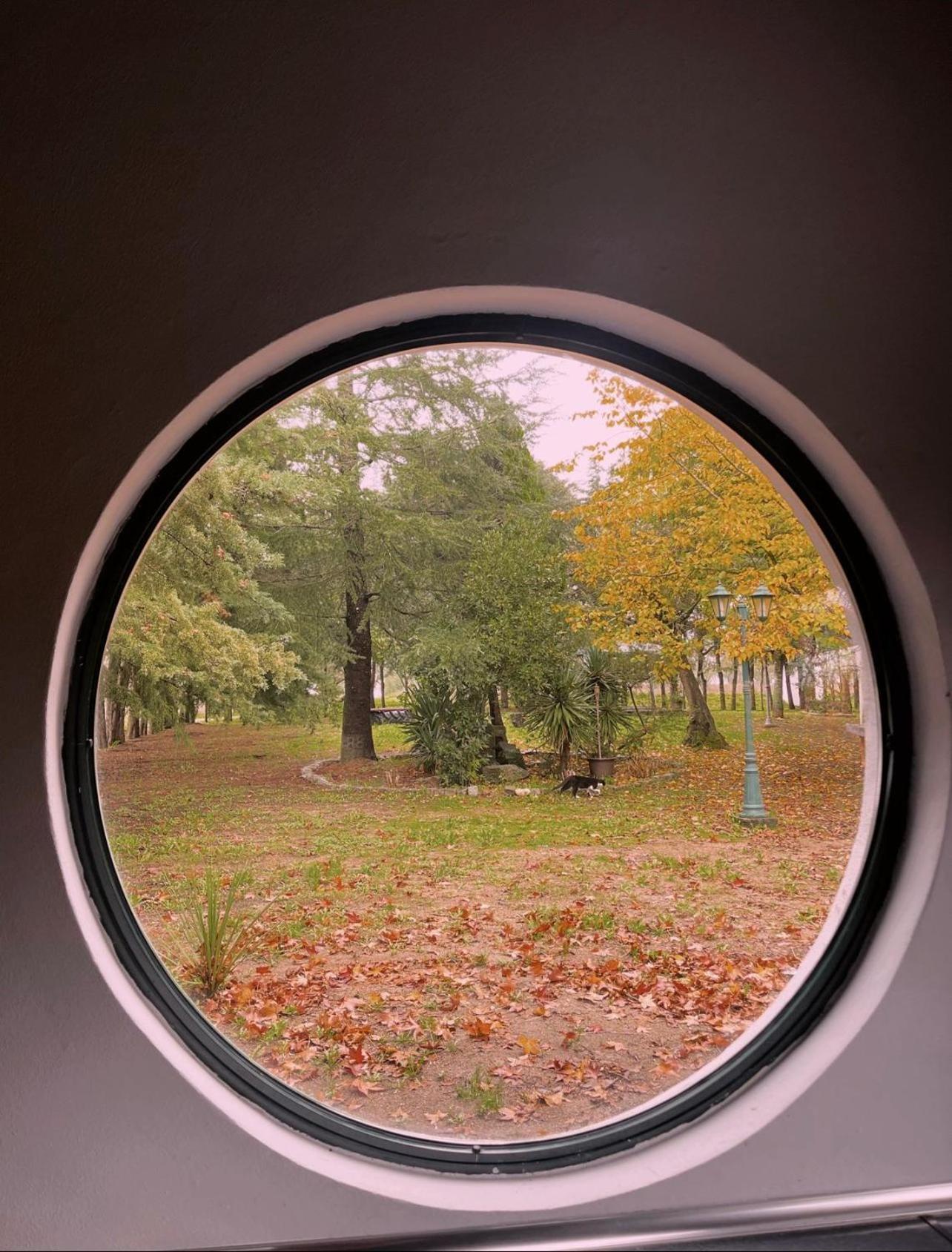 Quinta Santo Antonio Do Rio Villa Celorico Da Beira Dış mekan fotoğraf