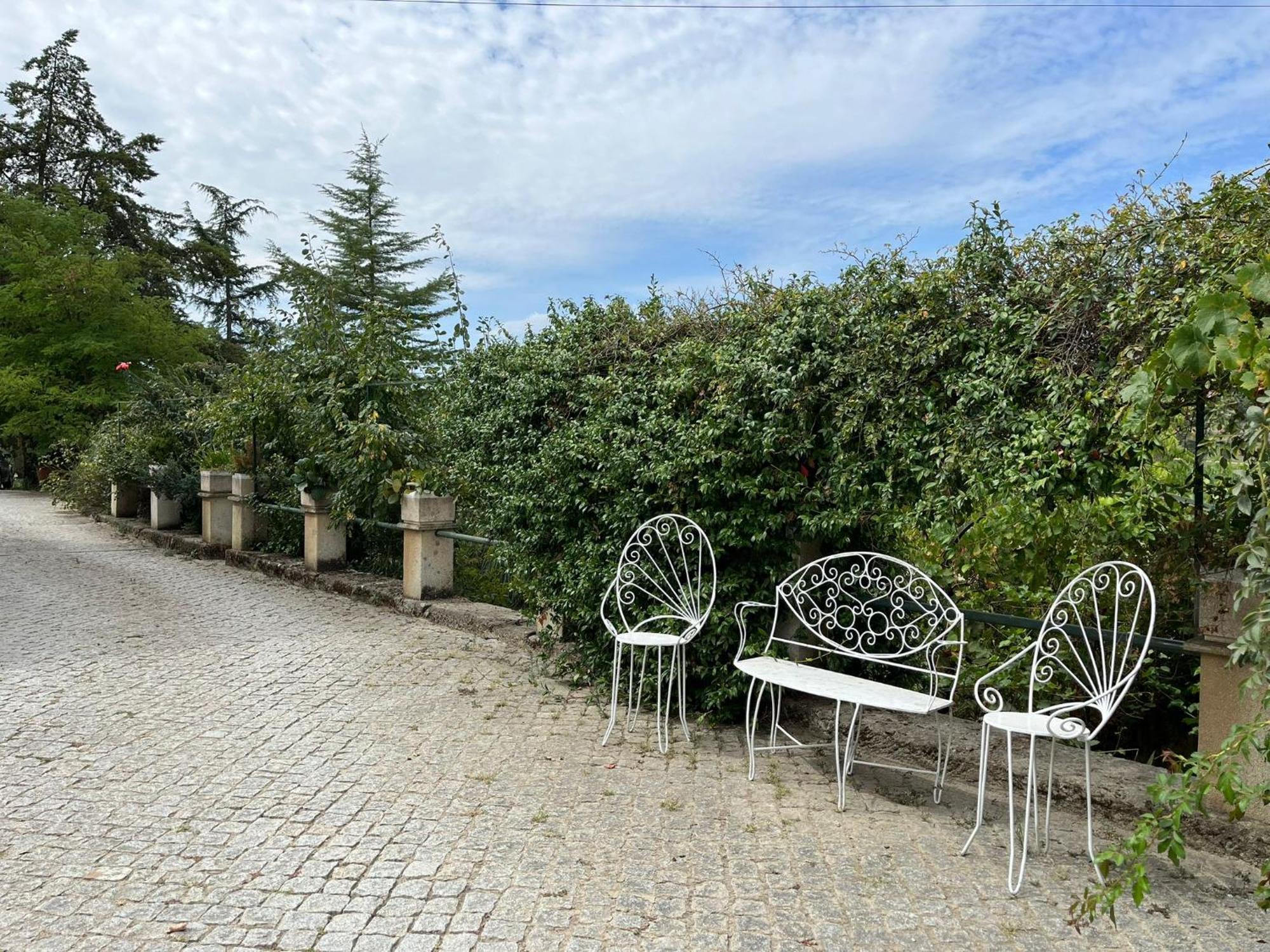 Quinta Santo Antonio Do Rio Villa Celorico Da Beira Dış mekan fotoğraf