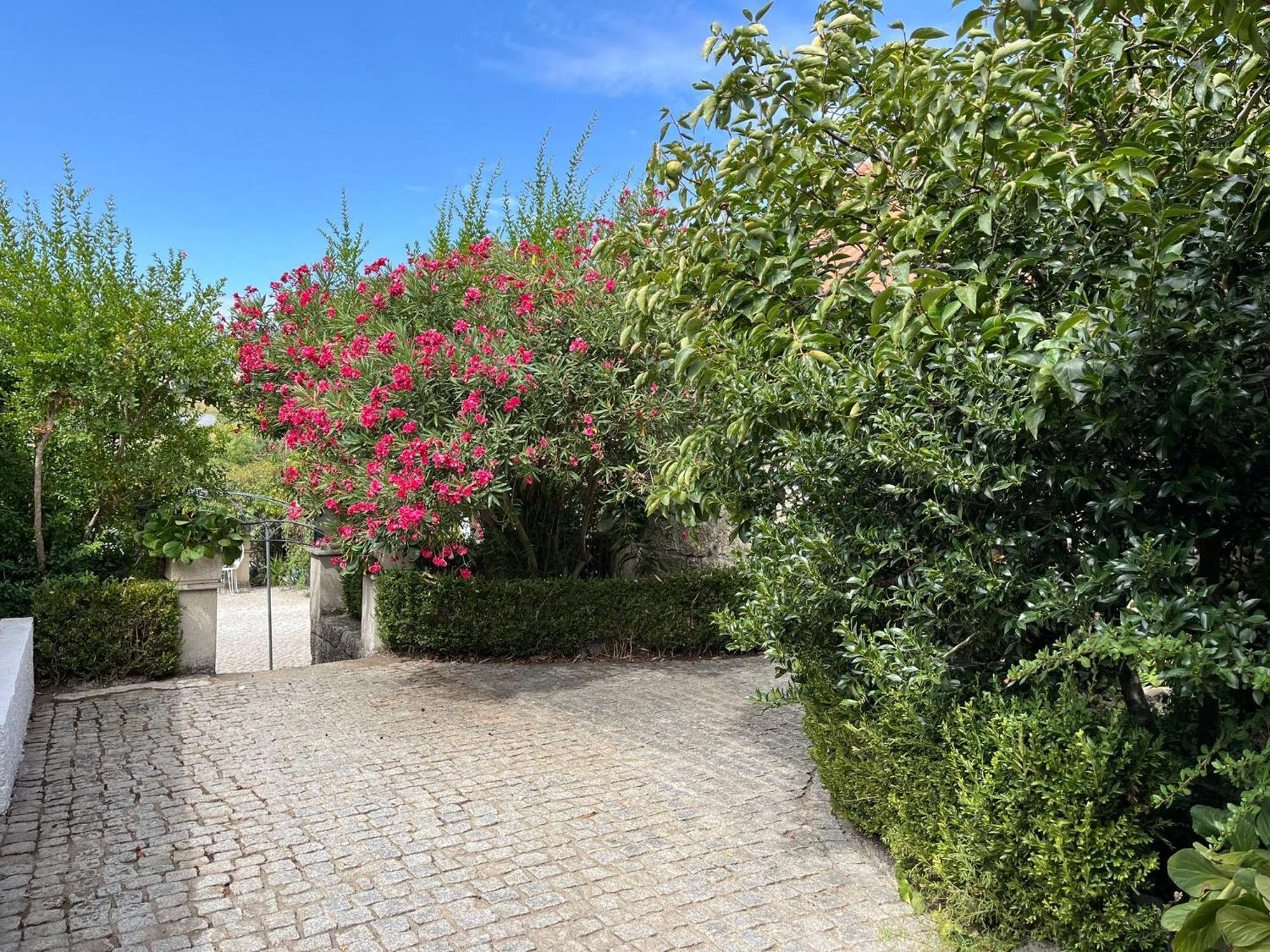 Quinta Santo Antonio Do Rio Villa Celorico Da Beira Dış mekan fotoğraf