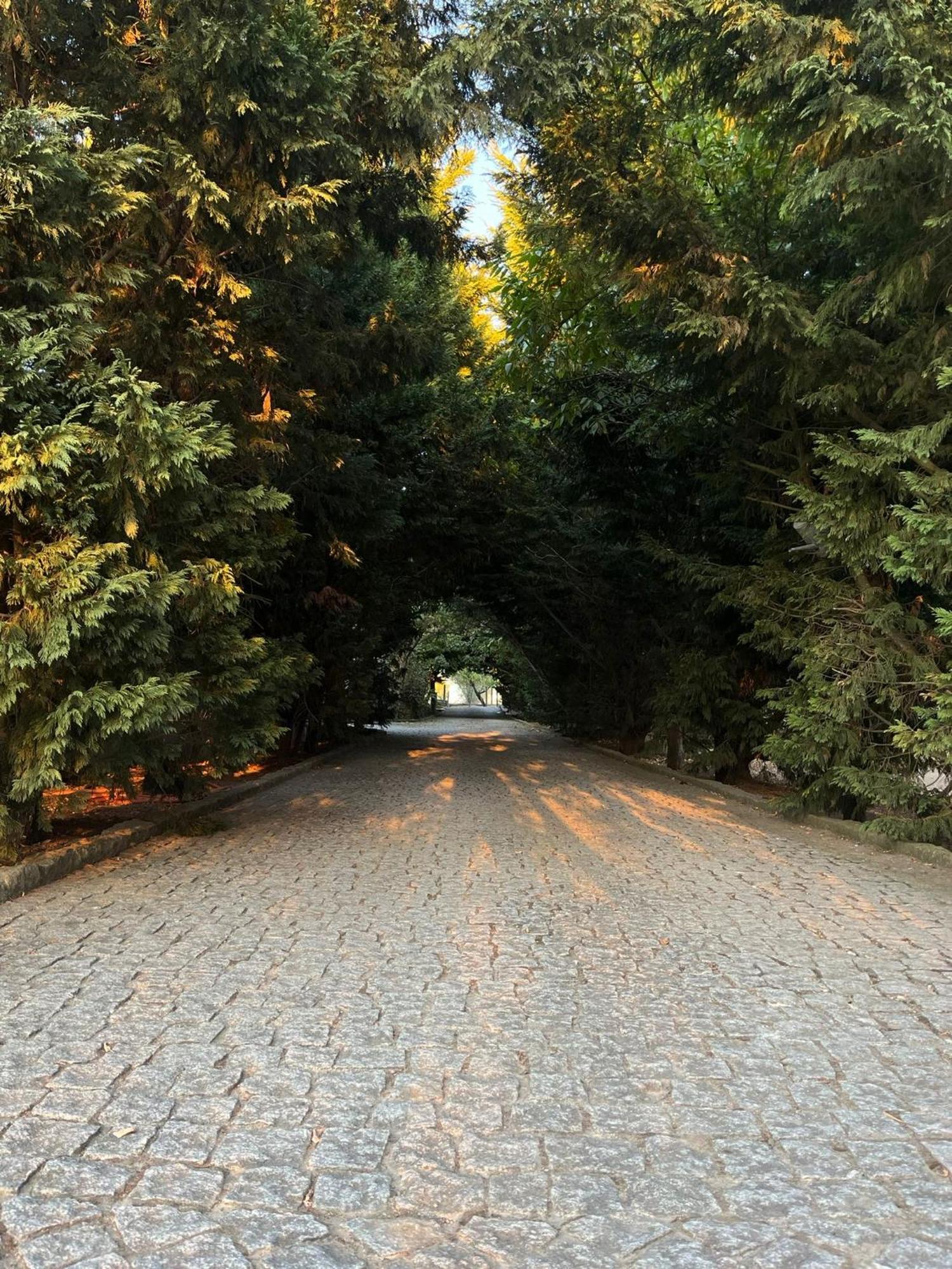 Quinta Santo Antonio Do Rio Villa Celorico Da Beira Dış mekan fotoğraf