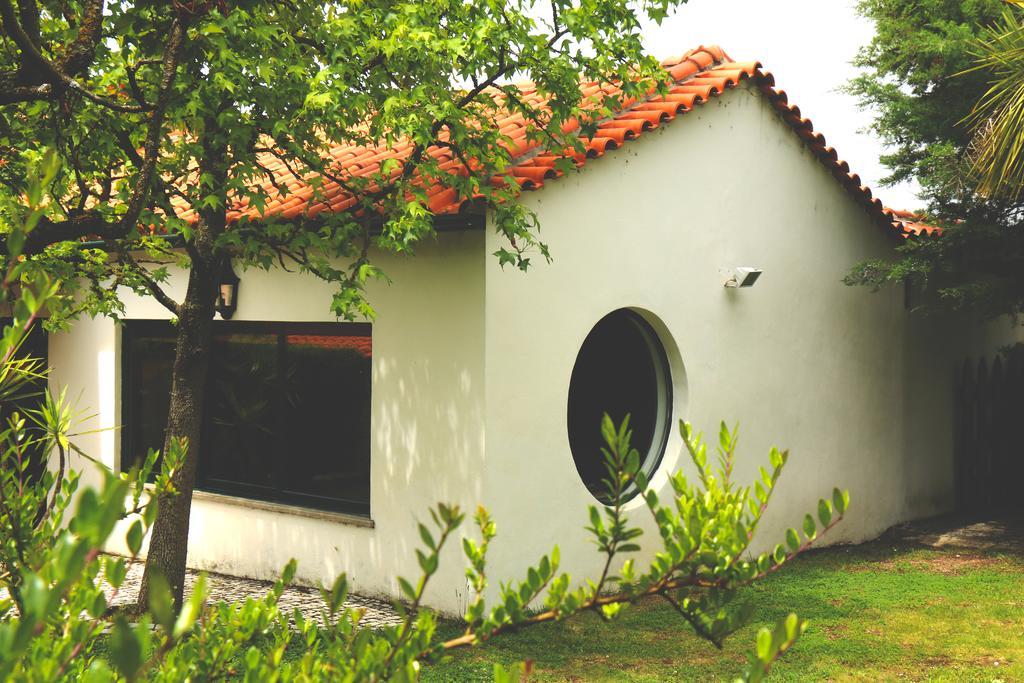 Quinta Santo Antonio Do Rio Villa Celorico Da Beira Dış mekan fotoğraf