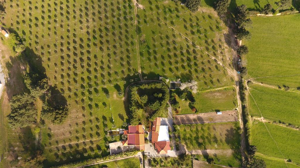 Quinta Santo Antonio Do Rio Villa Celorico Da Beira Dış mekan fotoğraf